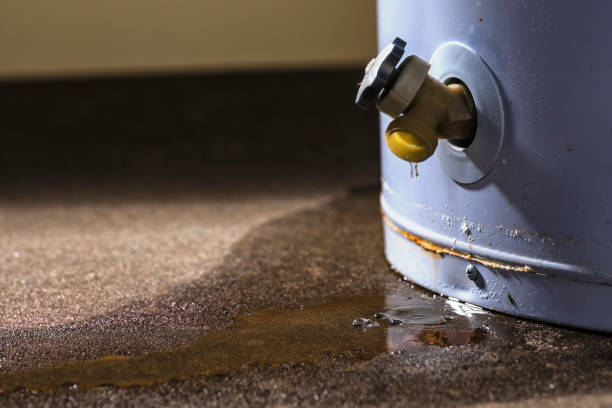 Best Flood damage cleanup  in Fort Morgan, CO