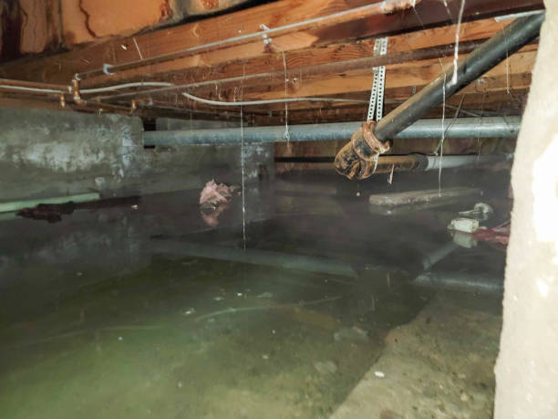 Best Water damage contractors near me  in Fort Morgan, CO