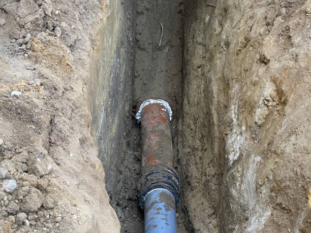 Best Local water damage restoration  in Fort Morgan, CO