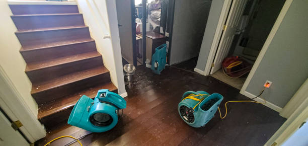 Best Carpet water damage restoration  in Fort Morgan, CO