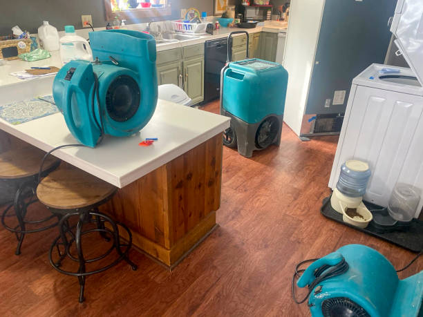 Best Sewage cleanup and water damage restoration  in Fort Morgan, CO