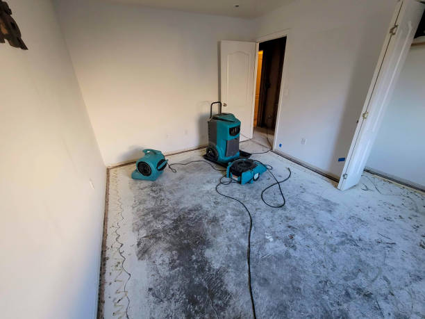 Best Emergency water extraction  in Fort Morgan, CO