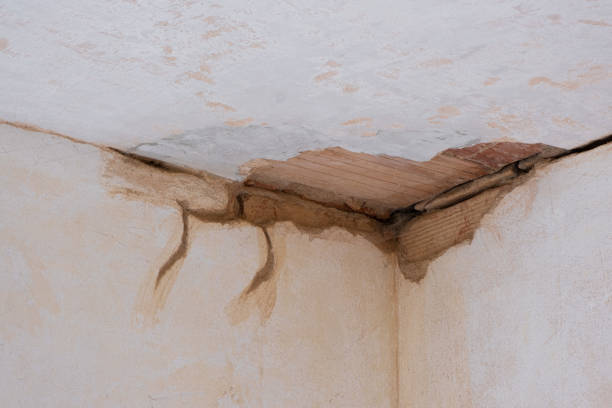 Best Residential water damage restoration  in Fort Morgan, CO