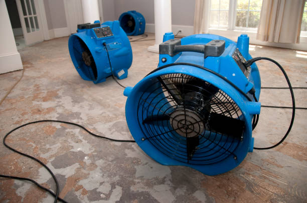 Best 24/7 water damage repair  in Fort Morgan, CO