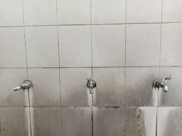 Best Water damage restoration cost  in Fort Morgan, CO