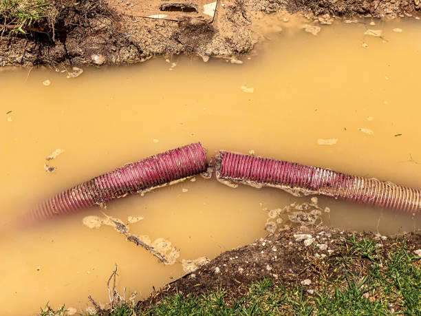 Best Professional water damage repair  in Fort Morgan, CO