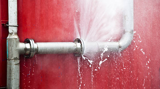 Best Flooded house restoration  in Fort Morgan, CO
