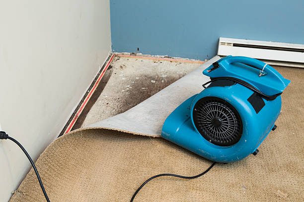 Best 24/7 water damage repair  in Fort Morgan, CO