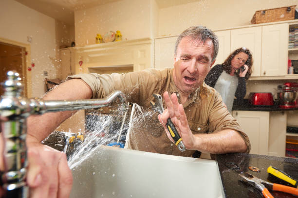 Best Flood damage cleanup  in Fort Morgan, CO